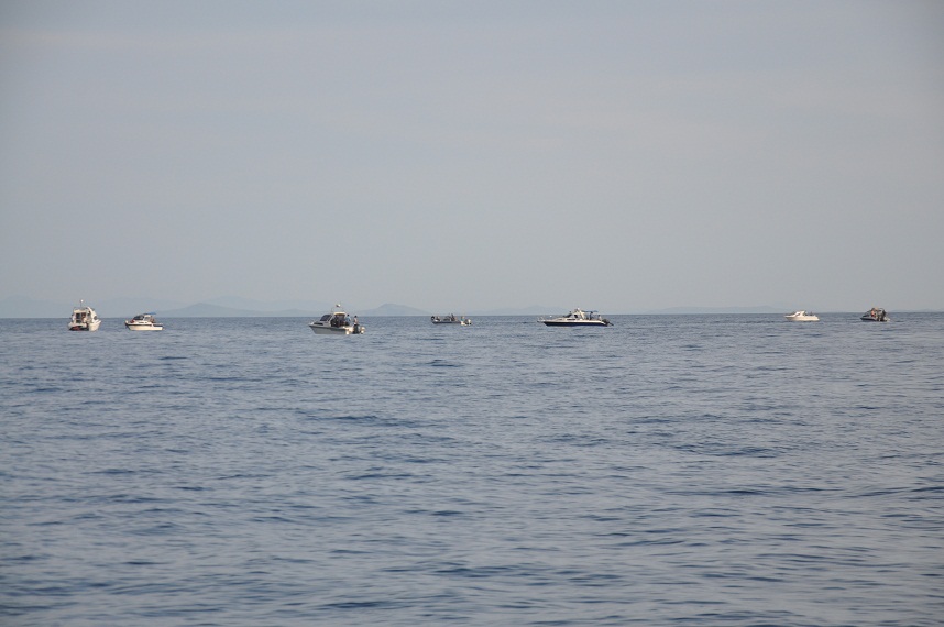 DSC_0946.JPG