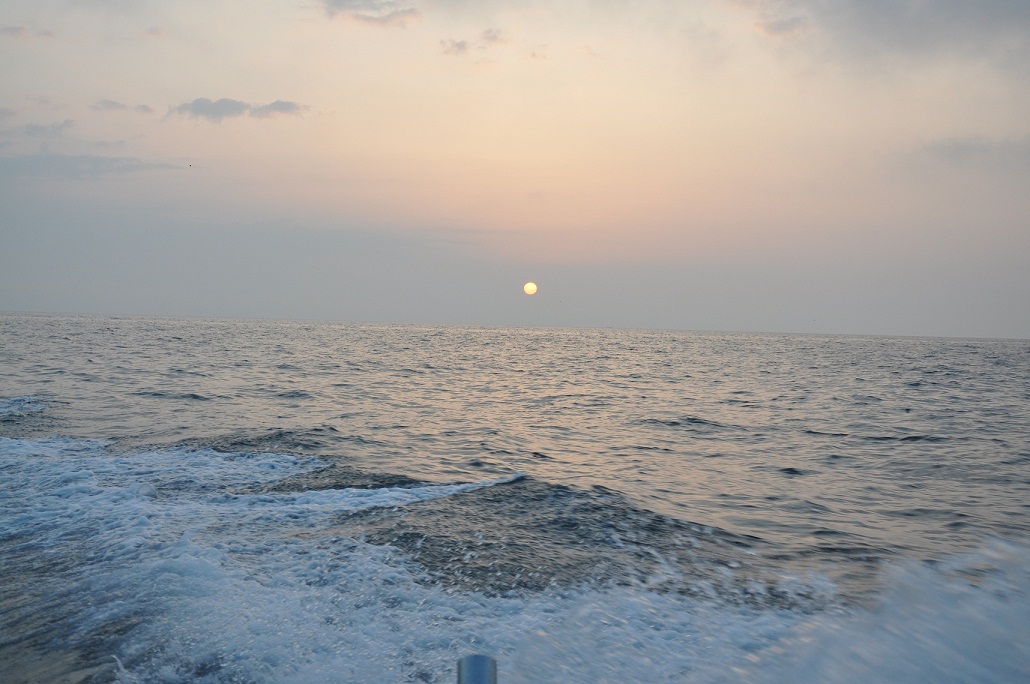 DSC_0378.JPG