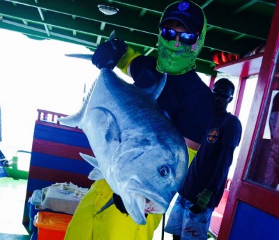 FullSizeRender-11-11-17-12-20-28.jpg (115.81 KIB) Просмотров: 22890 FullSizeRender-11-11-17-12-20-28.jpg