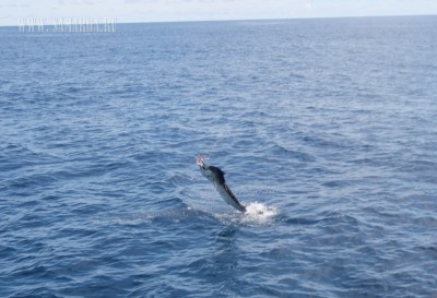 IMG_65751.jpg