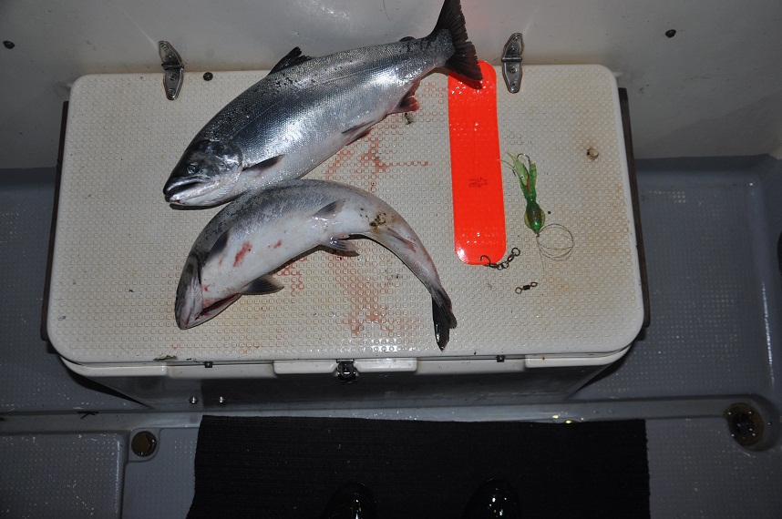 DSC_0712.JPG