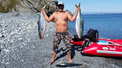 Аку.jpg (444.54 KIB) Просмотров: 20789 Аку.jpg