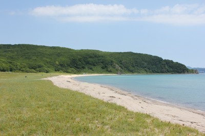 IMG_6448.jpg (443.84 KIB) Просмотров: 33119 IMG_6448.jpg