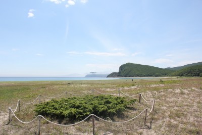 IMG_6428.jpg (447.79 KIB) Просмотров: 33628 IMG_6428.jpg