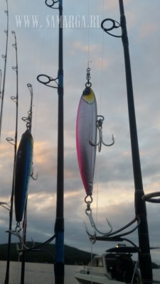 20170812_062828.jpg (54.56 KIB) Просмотров: 35951 20170812_062828.jpg