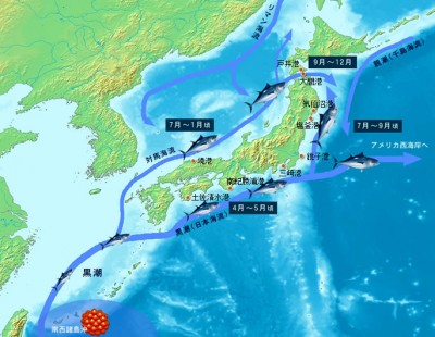 WhatsApp Image 2021-04-01 at 10.30.19.jpeg (103.47 KIB) Просмотров: 78116 WhatsApp Image 2021-04-01 at 10.30.19.jpeg